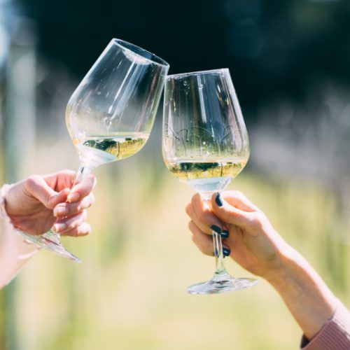 mount-tamborine-two-women-wine-tasting-at-witches-falls-winery-glasses-in-the-air